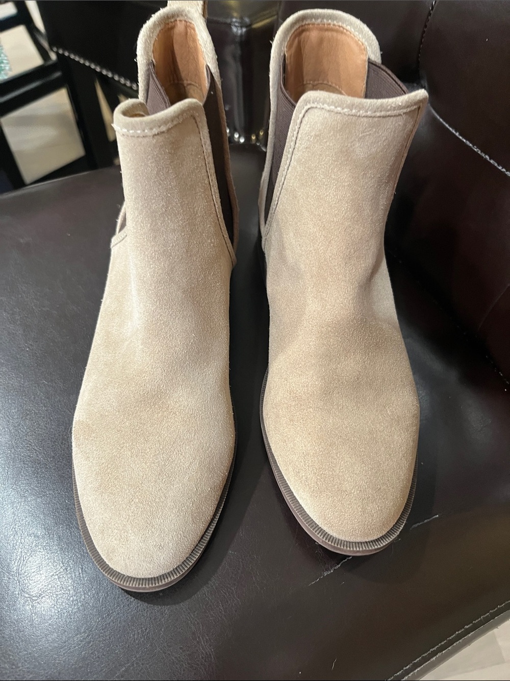Steve Madden Women's Suede Chelsea Ankle Boots in Light Beige